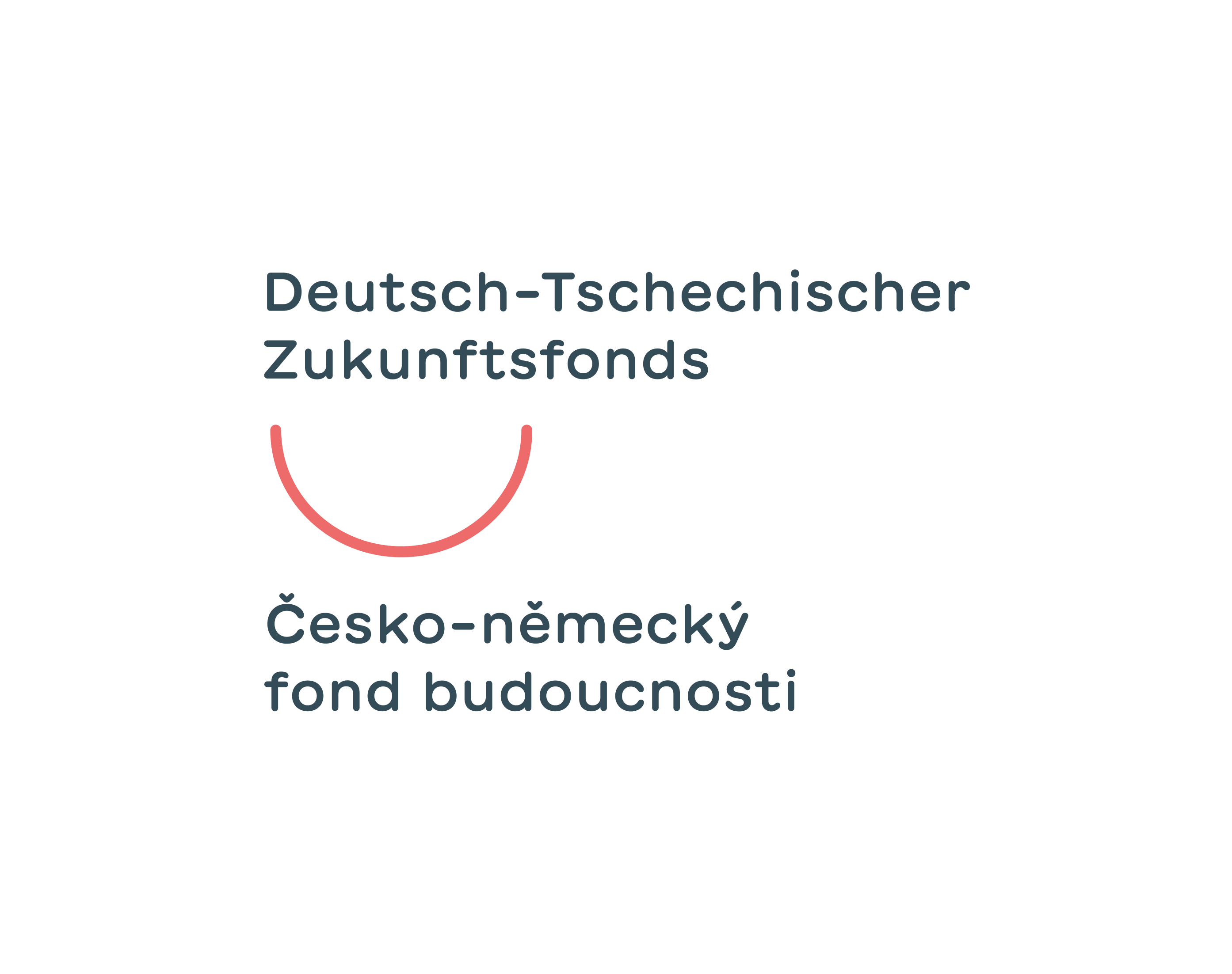 DTZF LOGOTYP GRUNDLOGO DE