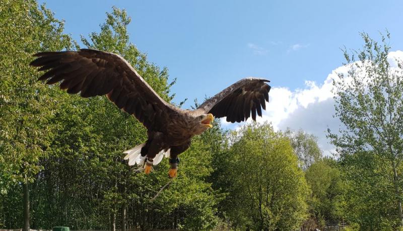 threema 20190905 133809 afe6a3db3c9eb54c kl